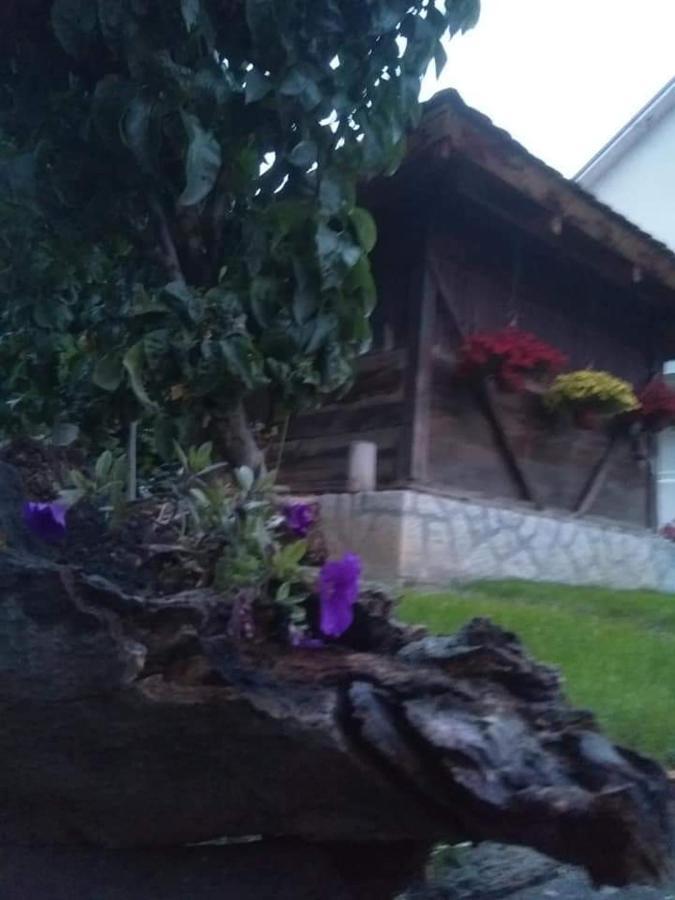 Djurdja Apartment Arandjelovac Kültér fotó