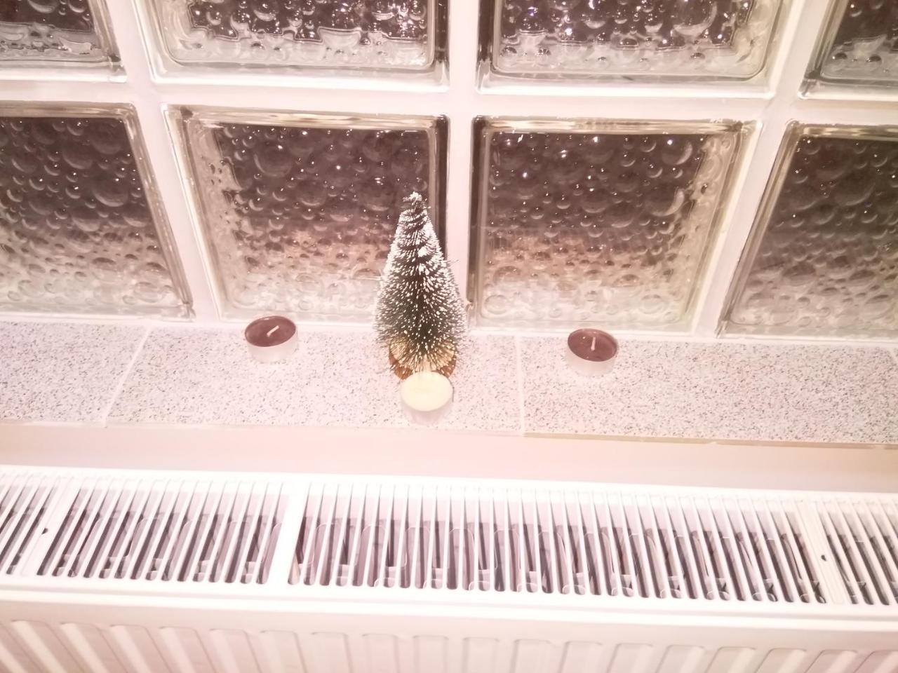 Djurdja Apartment Arandjelovac Kültér fotó